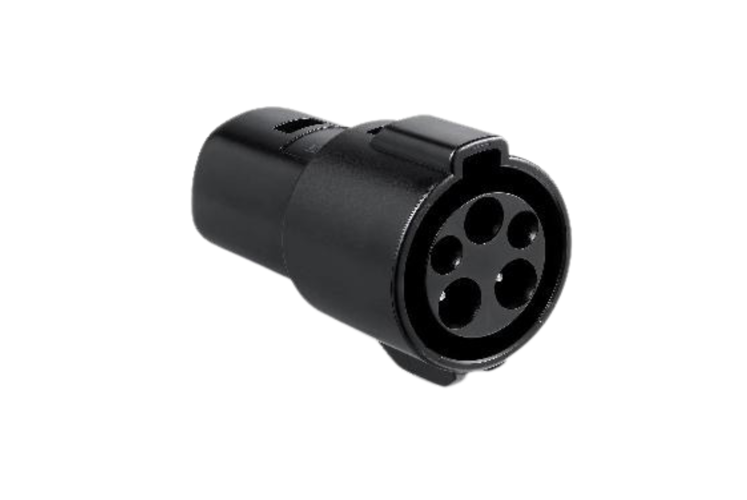 type 1 to Tesla adapter